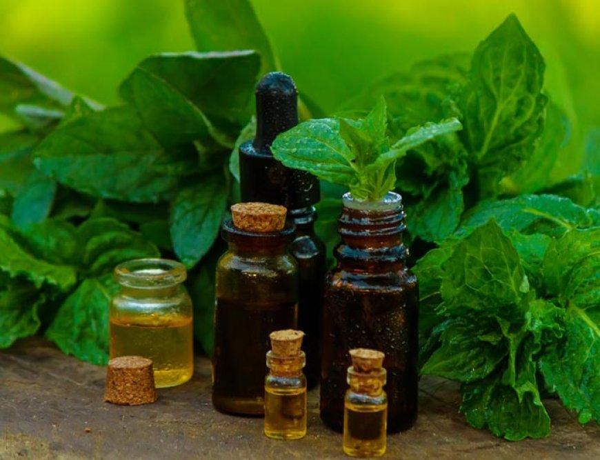 How to Manage Supply Chain Risks in the Ayurvedic and Ayurvedicceutical Industries