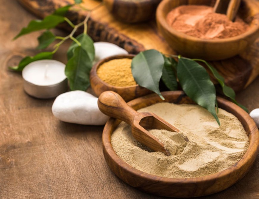 Navigating Third-Party Manufacturing of Ayurvedic Products with North India Life Sciences Pvt. Ltd.