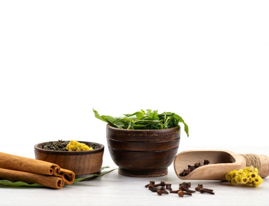 Embracing the Healing Power of Ayurveda: Key Ayurvedic Products by North India Life Sciences Pvt. Ltd.