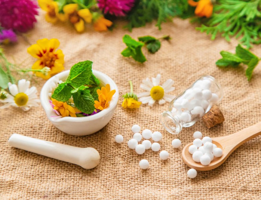 Ayurvedic Franchise Opportunities: How North India Life Sciences Pvt. Ltd. Empowers Entrepreneurs