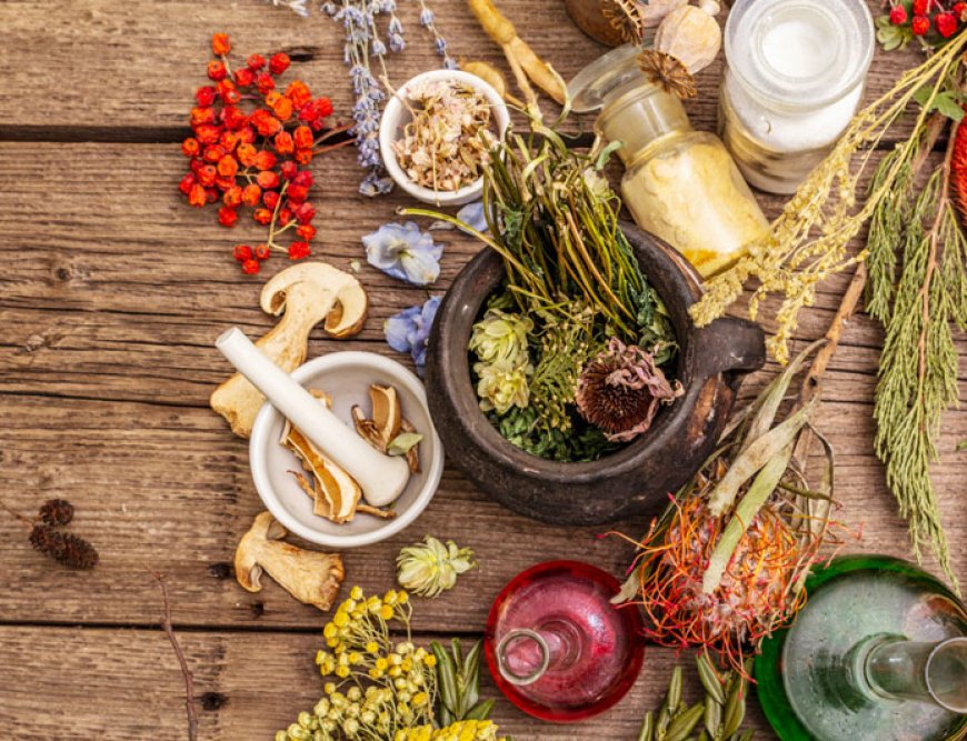 The Role of Patient Advocacy in the Ayurvedic and Ayurvedicceutical Industries