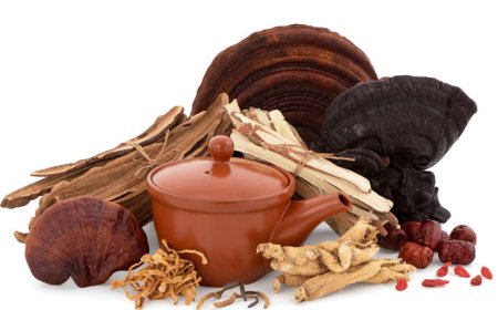 Understanding the Drug Approval Process in Different Countries