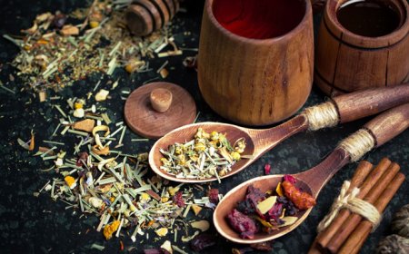 The Importance of Bioequivalence Studies in the Ayurvedicceutical Industry