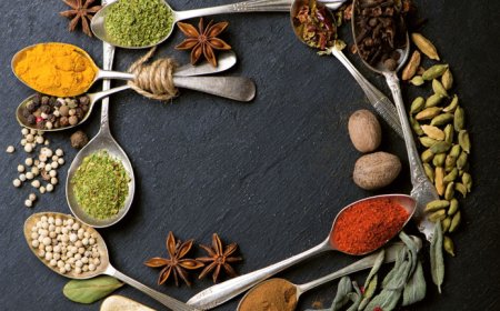 Ayurveda and Ayurvedic Startups: Charting the Path to Success