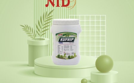 Harness the Power of Ayurveda for Cough Relief with Ayurvedic Cough Tablets