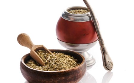 Understanding the Role of Medical Writing in Ayurveda