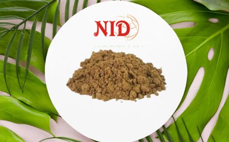 Kasis Bhasma: An Ayurvedic Powerhouse for Holistic Health