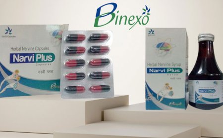 Enhancing Nervous System Health with Narvi: A Natural Solution by North India Lifesciences