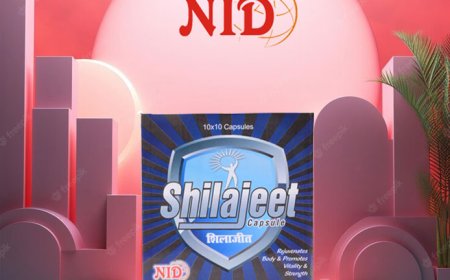 Discover the Potency of Shilajit: A Natural Solution by Nid