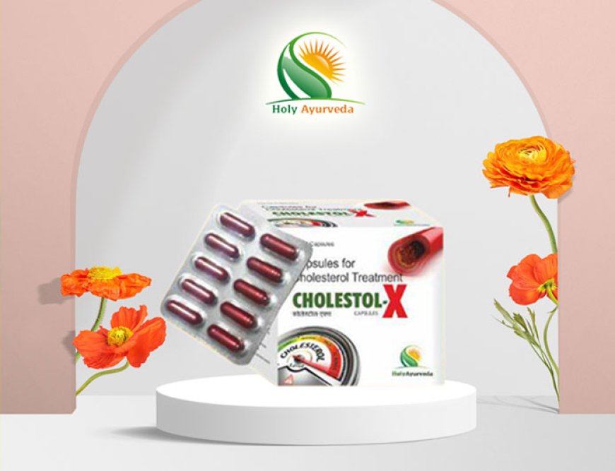 Revolutionize Heart Health with Holy Ayurveda's Cholestol-x | North India Life Sciences