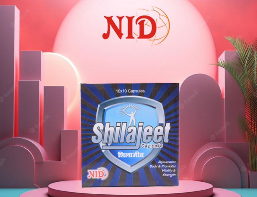 Discover the Potency of Shilajit: A Natural Solution by Nid