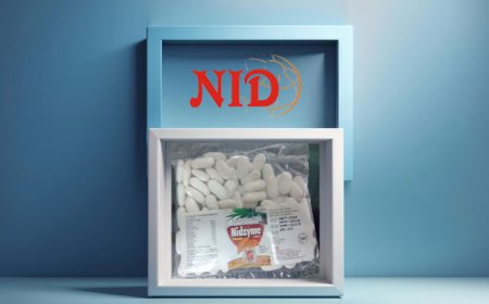 Discover the Power of Ayurvedic Healing with Fevernid