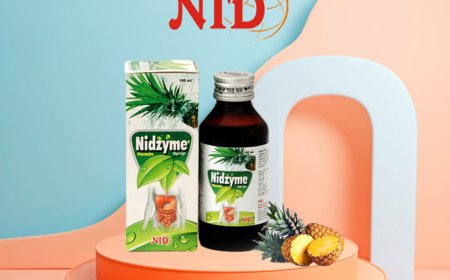 Ayurvedic Digestion Syrup: NIDzyme Syrup by North India Life Sciences Pvt. Ltd.