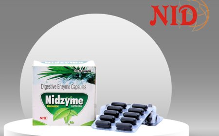 Nidzyme Capsule - Your Digestive Health Companion