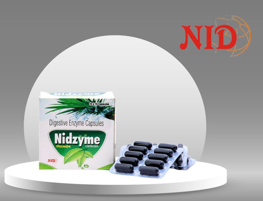 Nidzyme Capsule - Your Digestive Health Companion