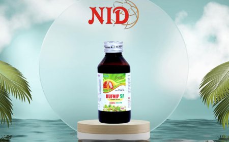 Kufnip-SF (Sugar Free Cough Syrup): Your Natural Remedy for Chronic Cough