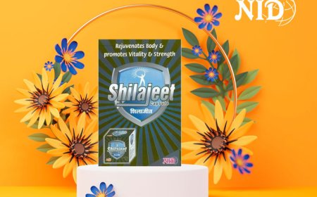 Shilajeet Capsules: Revitalize Your Health with NID's Natural Solution